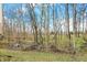 Scenic backyard view with mature trees, green space, and a winding stream on a partly cloudy day at 12618 E 86Th St, Indianapolis, IN 46236