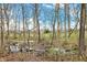 Backyard featuring a peaceful stream and lush trees, creating a nature-filled retreat at 12618 E 86Th St, Indianapolis, IN 46236
