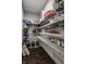 Well-organized pantry with ample shelving for various food items, containers, and storage solutions, maximizing space efficiency at 14818 Autumn View Way, Fishers, IN 46037