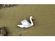 Image features a graceful white swan swimming in tranquil, murky water, close to a log at 307 Baywood Ct # 67, Noblesville, IN 46062