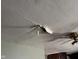 Damaged ceiling at 413 W 8Th St, Muncie, IN 47302