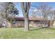 Charming brick home nestled amongst mature trees with a sprawling green lawn at 7906 E 21St St, Indianapolis, IN 46219
