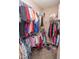 Walk-in closet with ample storage space, featuring shelving and rods for organizing clothes and shoes at 9752 Brook Wood Dr, McCordsville, IN 46055