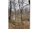 Natural outdoor view through the trees, with a focus on the forest setting and foliage at 4214 Woodsage Trce, Indianapolis, IN 46237