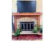 Close up of a stone fireplace, with plants, adding a touch of nature to the space at 4214 Woodsage Trce, Indianapolis, IN 46237