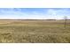 A panoramic view of the flat backyard extending into open farmland at 4763 Denton Dr, Zionsville, IN 46077