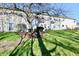 A well-maintained backyard featuring a large tree, green grass, and lush landscaping for a serene outdoor experience at 4951 Tuscany Ln, Indianapolis, IN 46254
