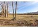 Expansive view of property showing the rear yard, wooded area, and underbrush on a sunny day at 5607 Regency Dr, Columbus, IN 47203