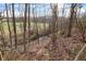 Backyard view with forest and small creek at 7023 Mustang Ct, Martinsville, IN 46151