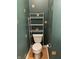 Toilet with storage shelf in a green powder room with decorative accents at 10072 Graceful Landing Dr, Indianapolis, IN 46234
