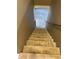 Carpeted staircase leading to the upper level, providing safe and easy access at 10072 Graceful Landing Dr, Indianapolis, IN 46234