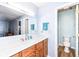 Bright bathroom with a single sink vanity, a large mirror, and access to a separate toilet and shower room at 12527 Trester Ln, Fishers, IN 46038