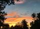 Stunning sunset view through the trees at 7160 Harbour, Indianapolis, IN 46240