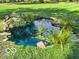 Close up of backyard pond surrounded by lush greenery and decorative rock border at 1402 Hornaday Rd, Brownsburg, IN 46112