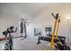 Home gym with exercise equipment, weights, and a mirror, perfect for staying active at 15152 Fallen Leaves Ln, Noblesville, IN 46060