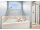 A bright bathroom with a large tub and a separate glass-door shower at 3645 Conifer Dr, Zionsville, IN 46077