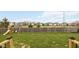Spacious backyard with playground at 8834 Pin Oak Dr, Zionsville, IN 46077
