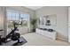 Bright exercise room with modern equipment, large mirror, and natural light at 8834 Pin Oak Dr, Zionsville, IN 46077