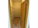 Walk-in pantry with ample shelving for organized storage and convenience at 8358 Balmoral Dr, Avon, IN 46123