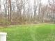 An open and green backyard lawn with trees and a partial view of the property's back deck at 12441 Bent Oak Ln, Indianapolis, IN 46236