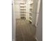 Walk-in closet with built-in shelving and carpeted floors at 373 Springfield Cir, Greenwood, IN 46143