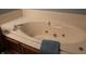 Large jacuzzi tub perfect for relaxation at 1915 Barbie Ct, Franklin, IN 46131