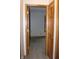 View through the doorway into the carpeted bedroom at 1915 Barbie Ct, Franklin, IN 46131