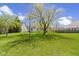 Expansive backyard with lush green grass and mature trees at 3856 Cornwallis Ln, Carmel, IN 46032