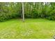 Manicured backyard with lush greenery and mature trees at 5446 Lippan Way, Indianapolis, IN 46221