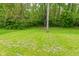 Spacious backyard with mature trees and manicured green lawn at 5446 Lippan Way, Indianapolis, IN 46221