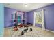 Home workout room with exercise equipment, weights, and bright natural light at 8650 N Springview Dr, McCordsville, IN 46055