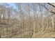 View of surrounding wooded area in backyard at 11172 Cliffside Dr, Fortville, IN 46040