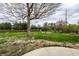 Spacious backyard featuring a large tree, swing, and garden area perfect for outdoor activities at 1550 Renee Dr, Plainfield, IN 46168