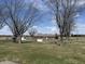Lush backyard with green grass, mature trees, and a well-maintained house with an outbuilding at 4611 E Us Highway 36, Markleville, IN 46056
