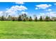 The spacious backyard with lush greenery provides a peaceful retreat for outdoor enjoyment and relaxation at 12404 Rose Haven Dr, Indianapolis, IN 46235