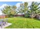 Lush backyard with green grass, mature trees, and a relaxing hammock, providing a serene outdoor space at 1598 Thornburg Ln, Franklin, IN 46131