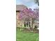 Beautiful flowering tree in front of the home with stone exterior at 1813 Birch Dr, Plainfield, IN 46168
