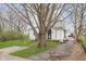 View of the backyard featuring a large shade tree and a grassy area at 1946 N Riley Ave, Indianapolis, IN 46218