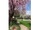 Beautiful weeping cherry tree provides shade for a sidewalk in front of a home at 5139 Kingswood Dr, Carmel, IN 46033