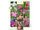 Photo collage of colorful rose bushes with white, pink and red roses at 5139 Kingswood Dr, Carmel, IN 46033
