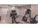Basement with exercise equipment, wood look floors and blue accent at 6272 Turnbridge Dr, Avon, IN 46123