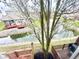 Backyard view of pond with deck and blooming tree at 8030 Windham Lake Way, Indianapolis, IN 46214