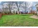Green backyard featuring a trampoline, wooden fence, and mature trees at 11117 Harriston Dr, Fishers, IN 46037