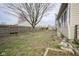 Spacious backyard with a partial fence, a large tree, and ample room for outdoor activities at 1163 Randall Way, Brownsburg, IN 46112