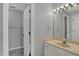 Light bathroom with mirror, cabinet, walk-in closet, and sink at 12535 Glendurgan Dr, Carmel, IN 46032