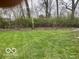 Expansive backyard with lush green grass and a mature tree line at 3014 Arbor Ave, Indianapolis, IN 46217
