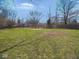 A sprawling backyard with a chainlink fence and mature trees at 5523 Epperson Ct, Indianapolis, IN 46221