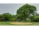 Picturesque golf course view featuring a large tree and sand trap at 5653 Stetson Dr, Whitestown, IN 46052