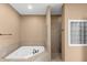 Large main bathroom featuring a corner tub and a tiled stand-up shower with glass block at 9877 Wading Crane Ave, Fishers, IN 46055