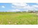 Large yard view with open green space and distant view of houses at 13872 N Mardenis W Dr, Camby, IN 46113